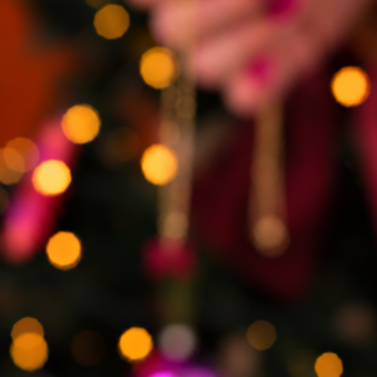 PRE ORDER WEEK 46 - December Gift Holly Jolly - Zilver