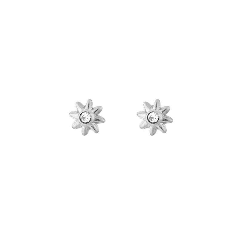 Earrings Flowers | 01 Silver